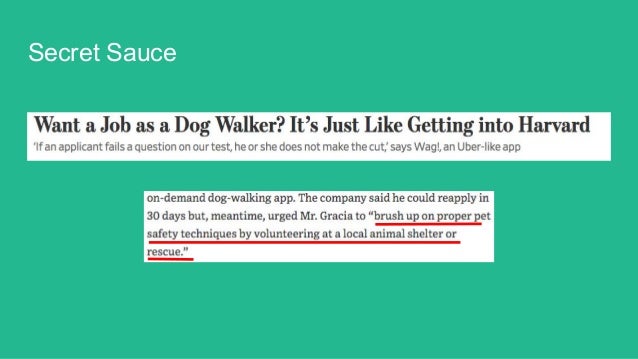 wag safety test wag safety test